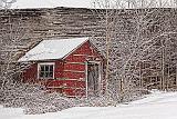 Old Red Shed_33780